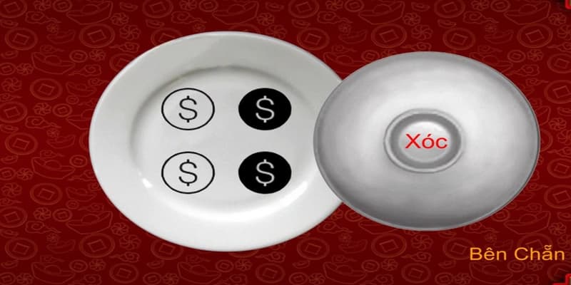 Thuật toán xóc đĩa Thuật toán xóc đĩa và các lưu ý khi sử dụng