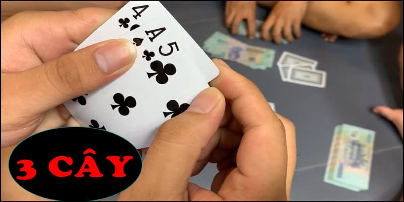 Ba cây Ba cây lý do được ưa chuộng?