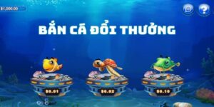 Mẹo chơi bắn cá đổi thưởng tại xóc đĩa online