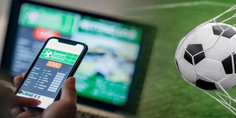 Cá độ bóng đá Cá độ bóng đá và các bước tham gia chi tiết