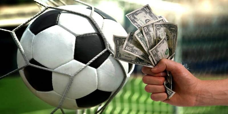 Cá độ bóng đá Cá độ bóng đá và kinh nghiệm hữu ích